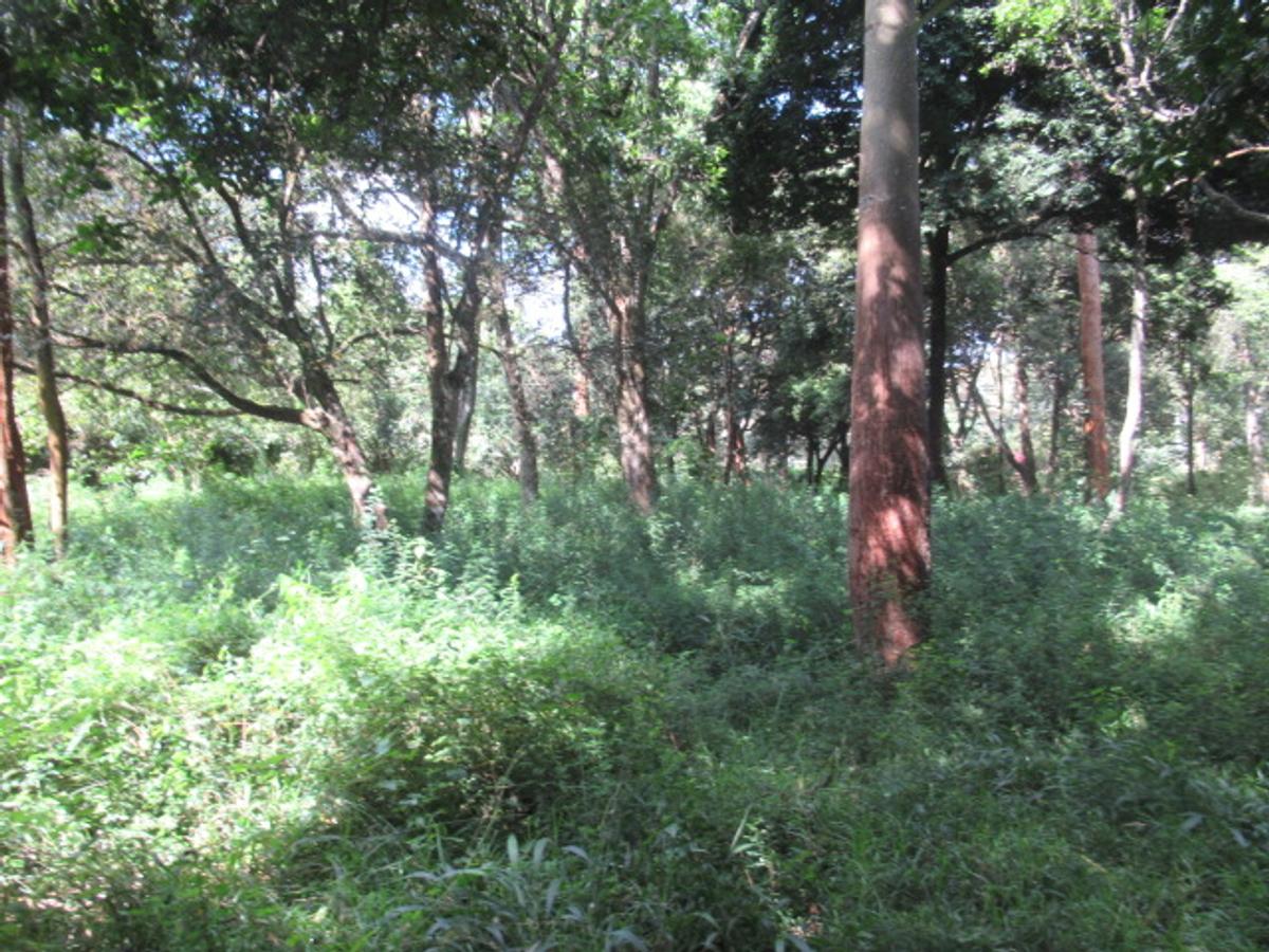 Residential Land at Mwitu Estate - 2