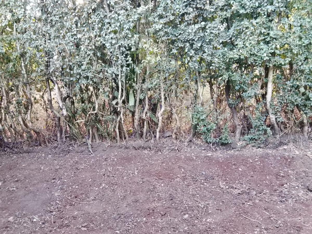 3 Bed House with En Suite in Karen - 15