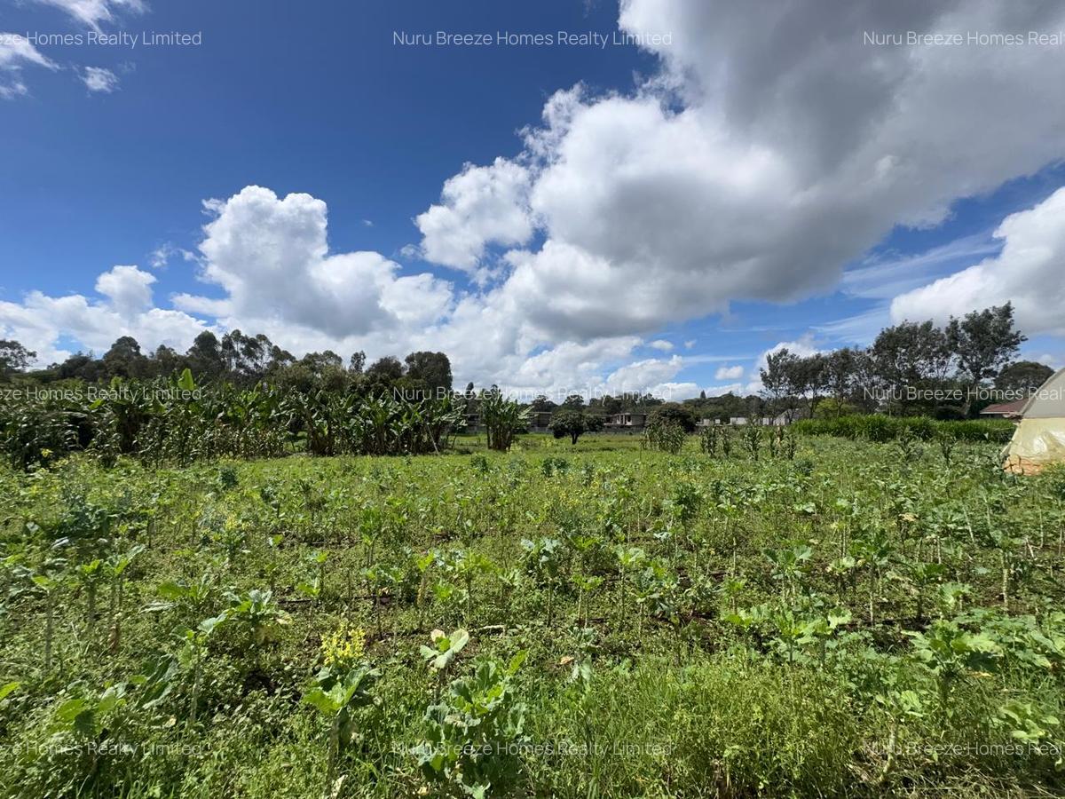 0.5 ac Residential Land in Karen - 9