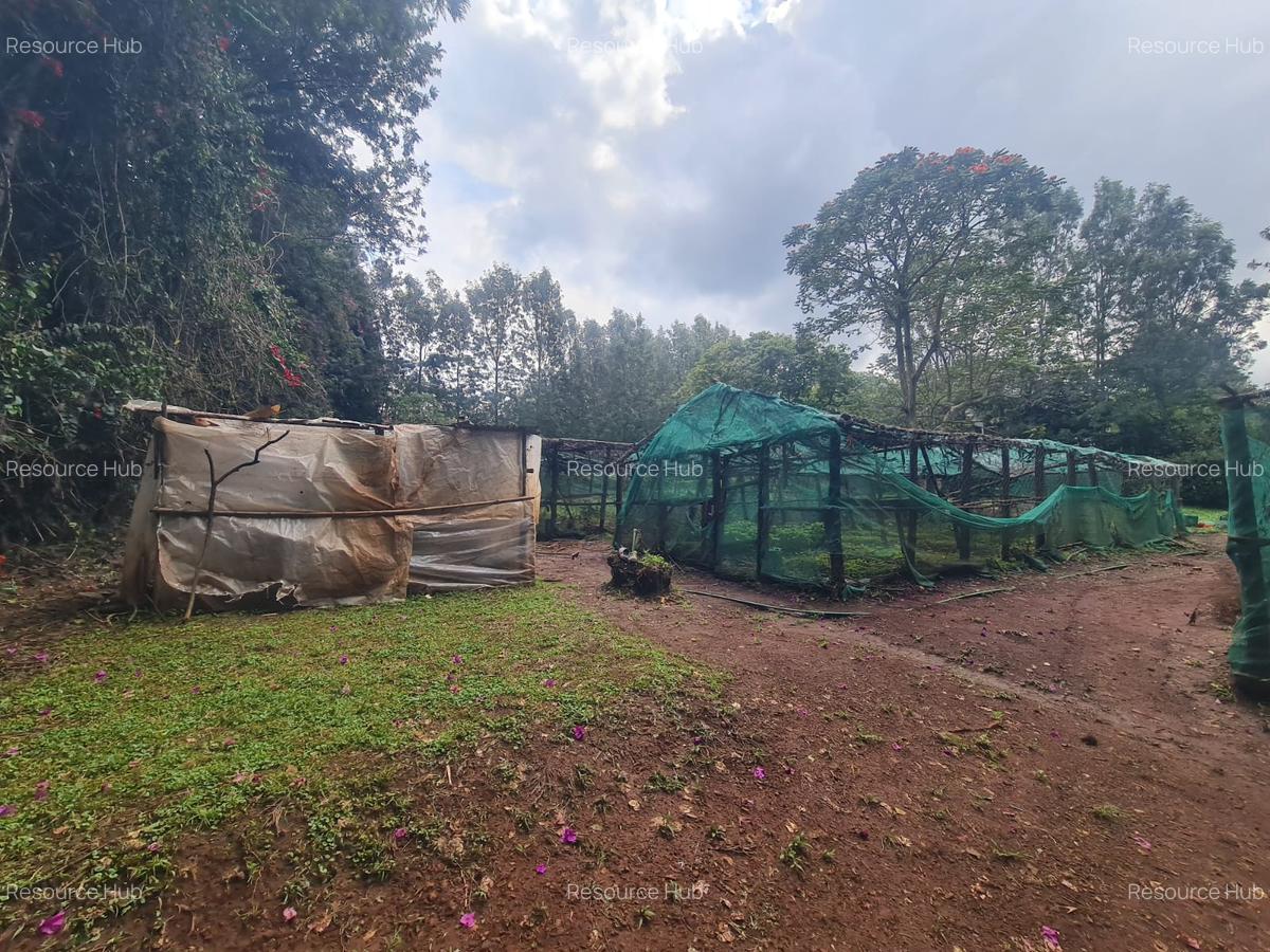 Commercial Property with Garden at Bomas - 5