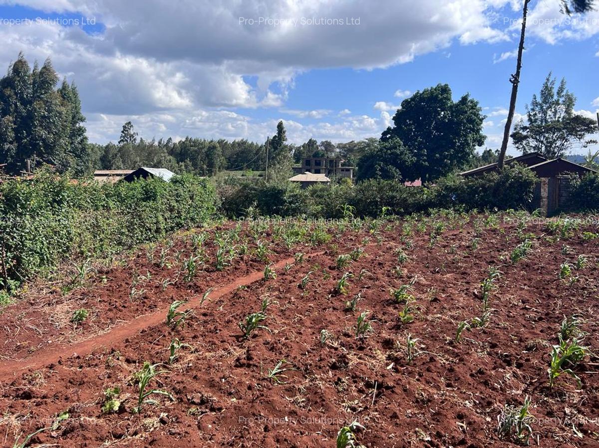 0.07 ha Residential Land at Karai - 11