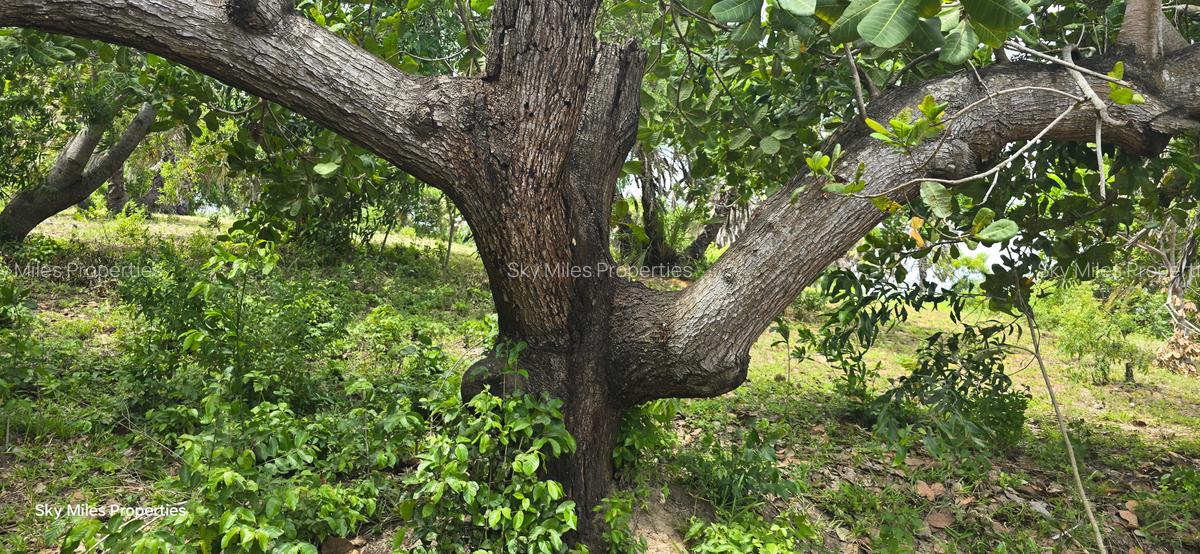 1.2 ac Land at Mtwapa Creekside - 14