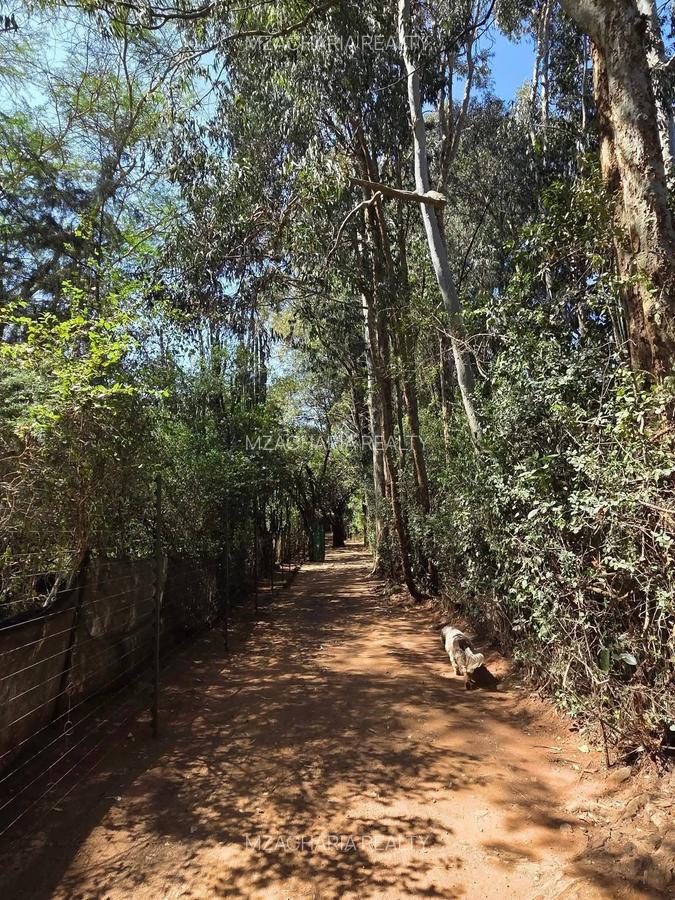 4.45 ac Land at Karen Hardy - 20