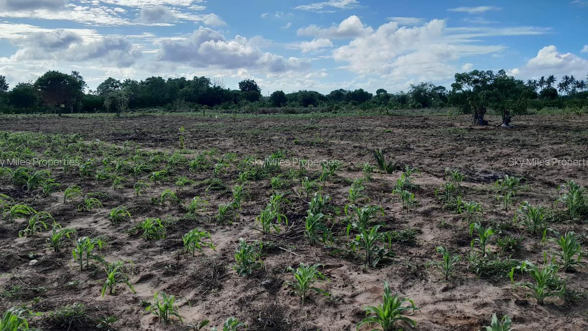 13 ac Land at Majaoni - 13