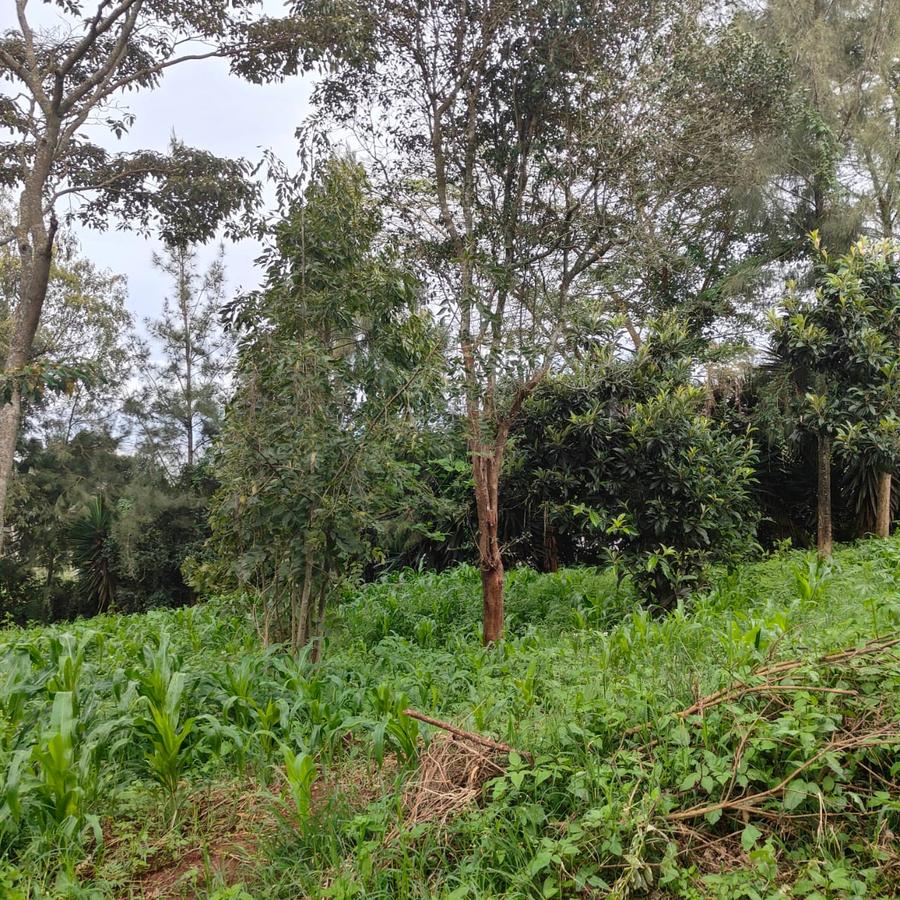 1 ac Land at Ngong - 4