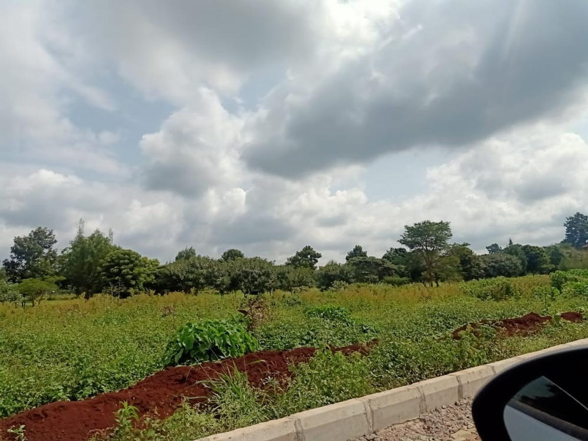 0.25 ac Residential Land at Thika-Kenol Road - 5