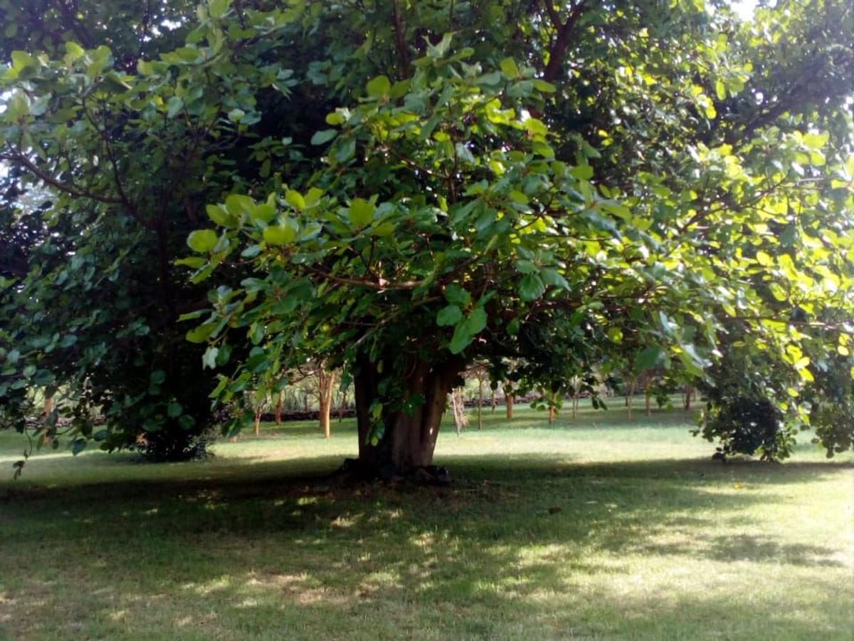 1 ac Residential Land in Karen - 4