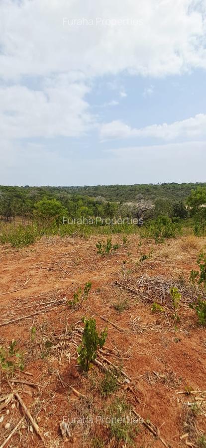 Land in Kilifi - 16