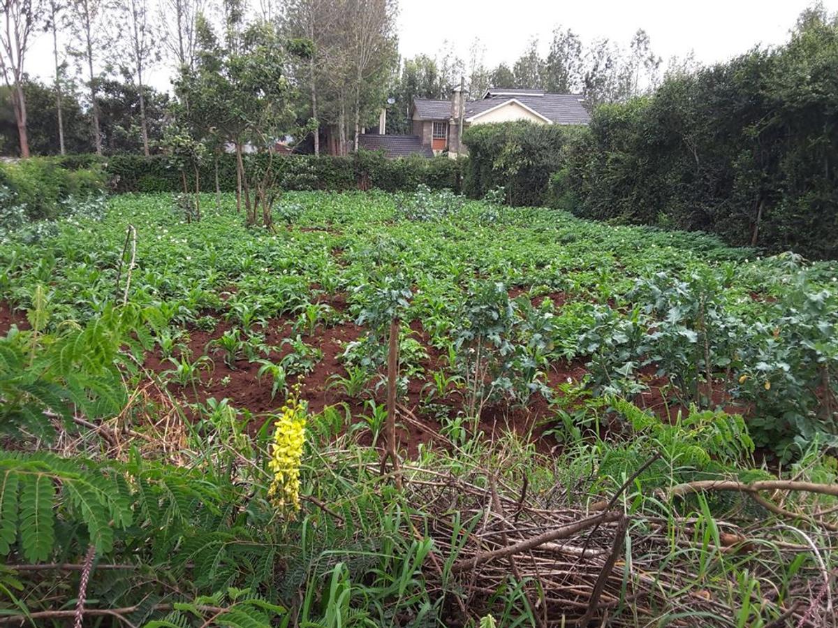 0.25 ac Residential Land in Ngong - 4