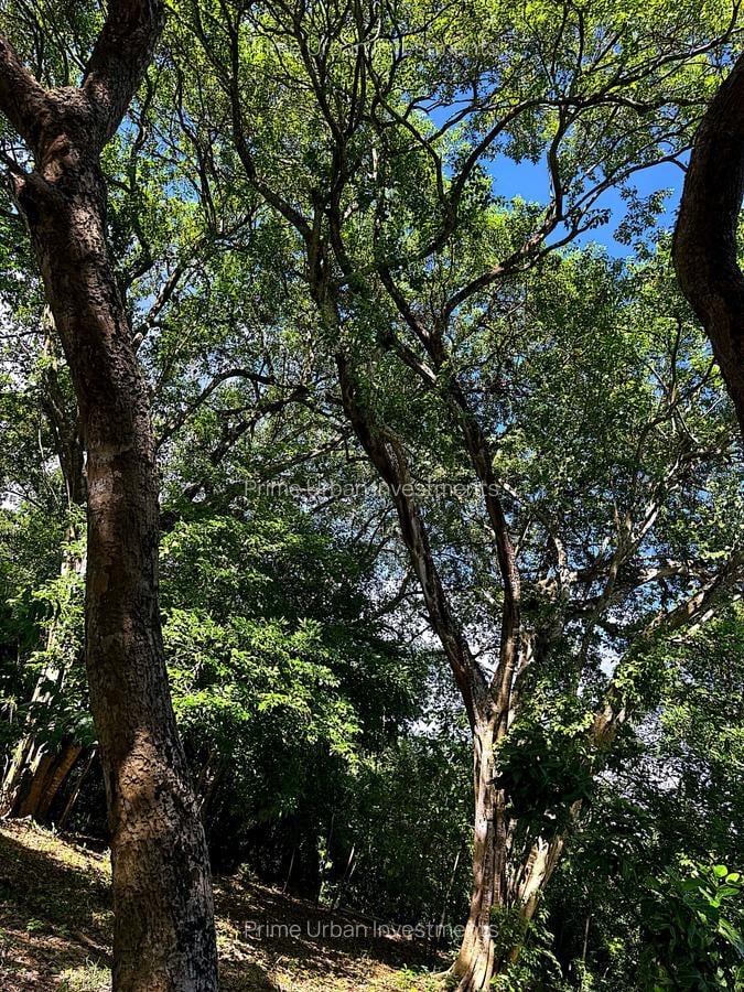 8,093.72 m² Land at Mtwapa Creek Aloo Drive - 4