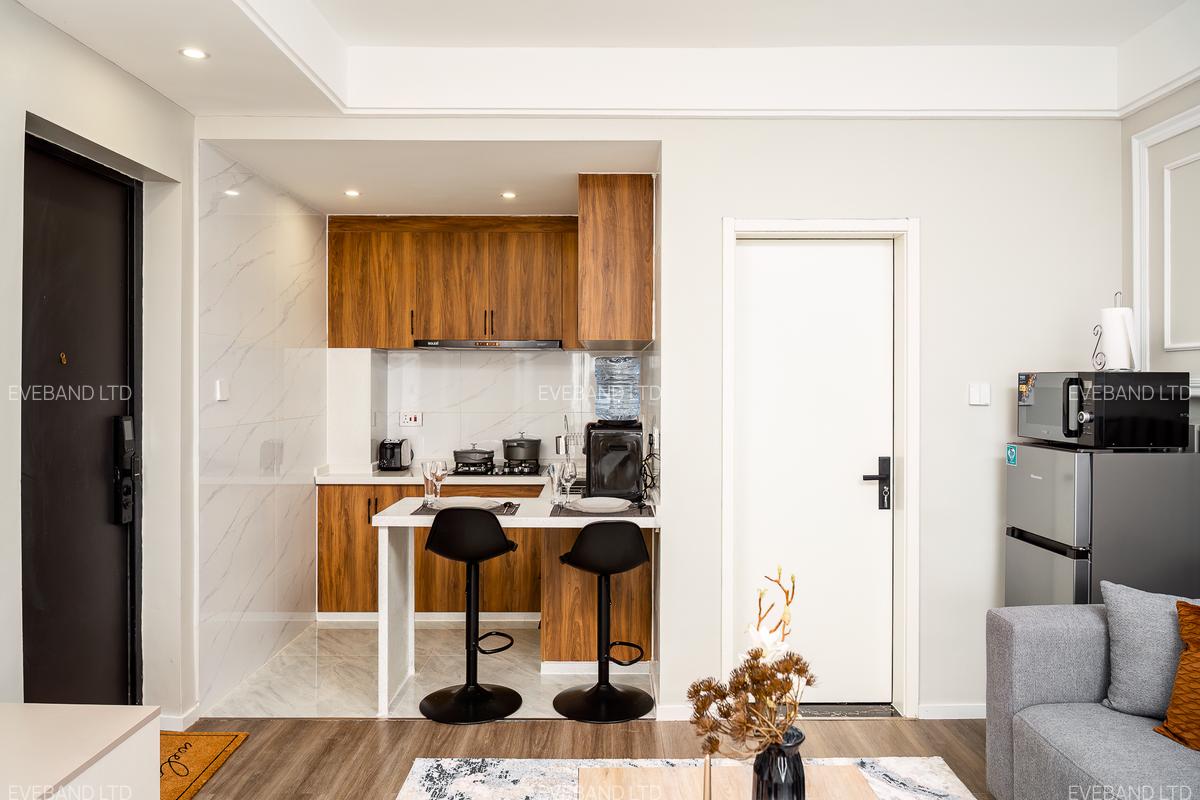 Furnished Studio Apartment with En Suite at Kasuku Lane - 10