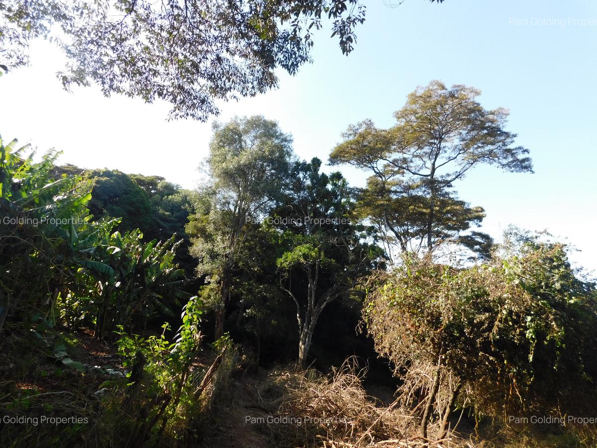Residential Land in Karen Hardy - 4