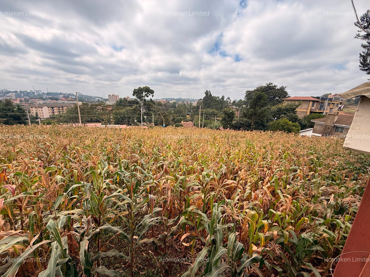 0.5 ac Land at Half Acre Commercial Land - 5