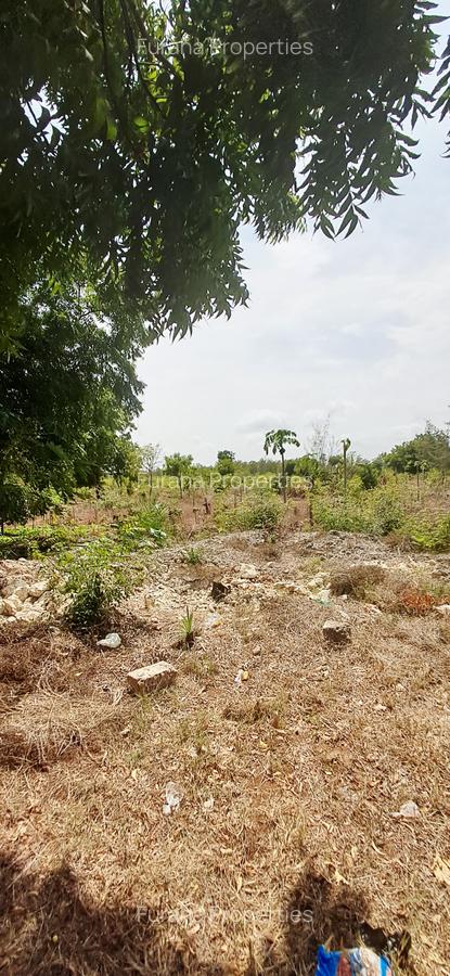 Land at Vipingo - 5