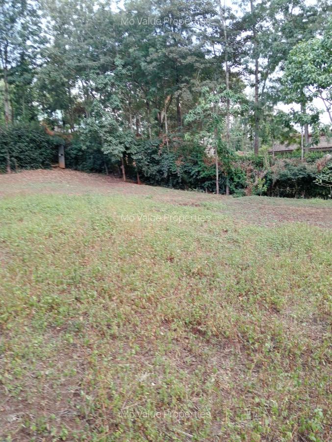 0.5 ac Land at Ololua - 3
