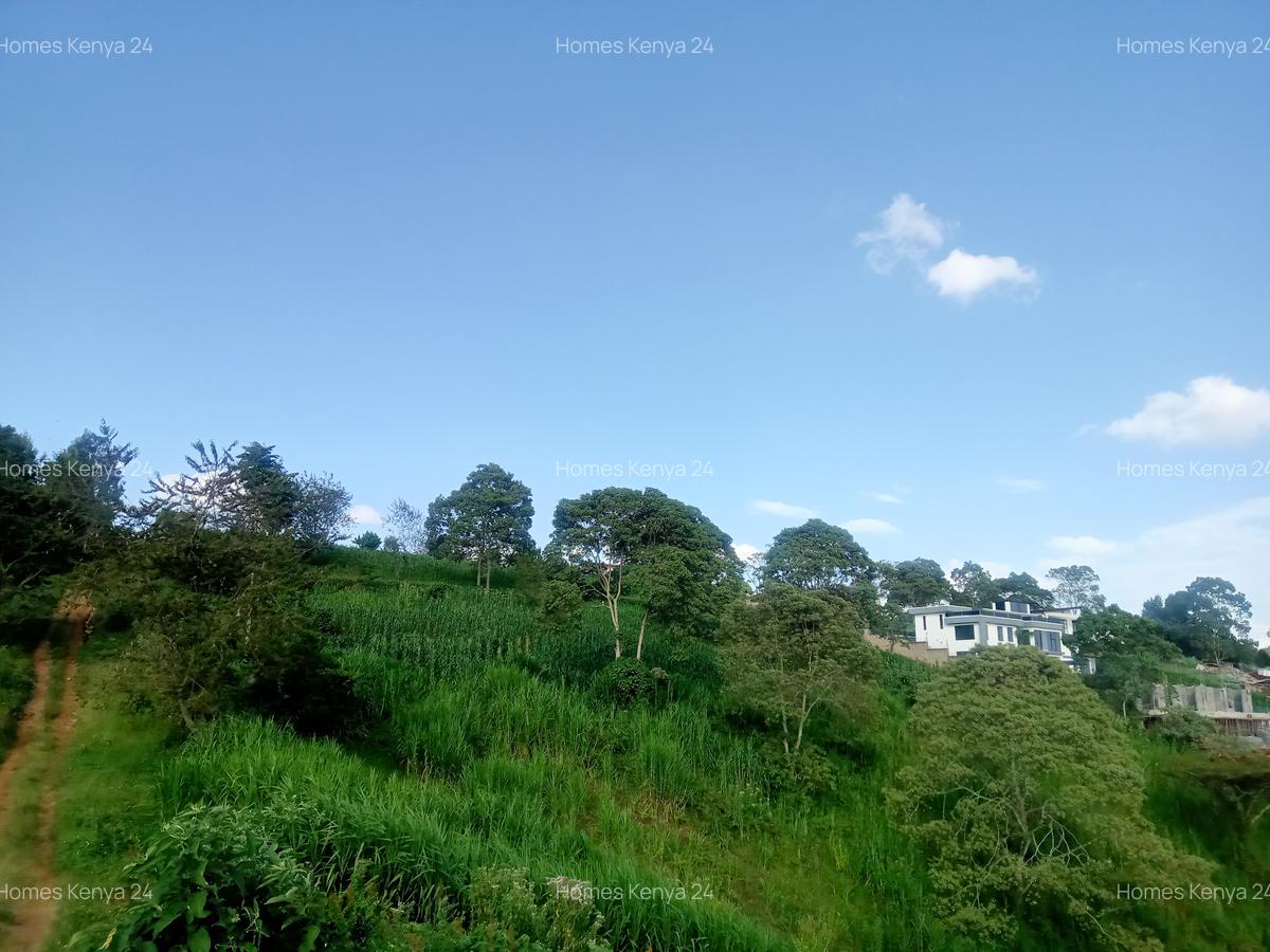 Land in Tigoni - 4