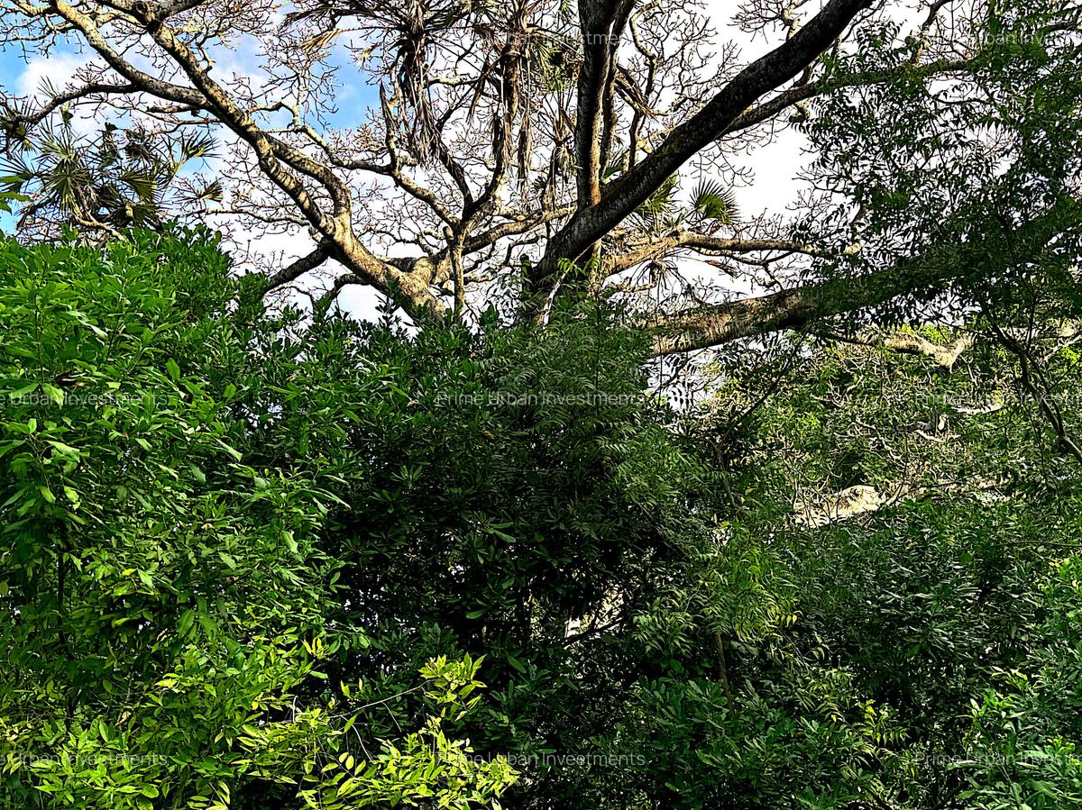 8,093.72 m² Land at Mtwapa Creek Aloo Drive - 8