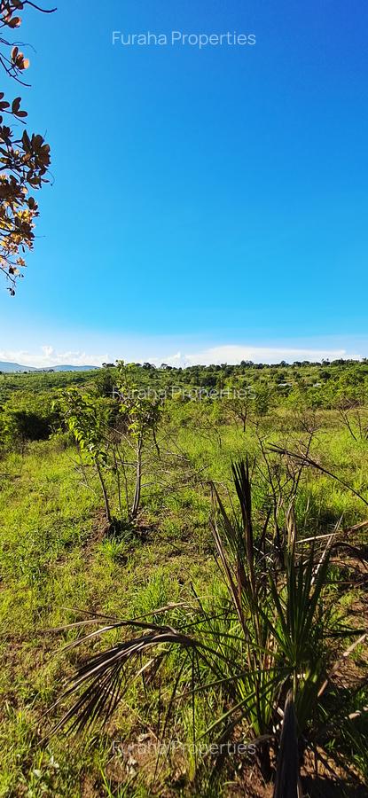 Land at Kwale - 15