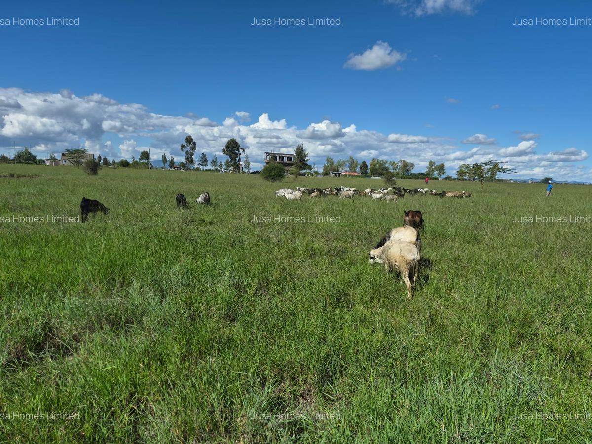 Land in Joska - 5