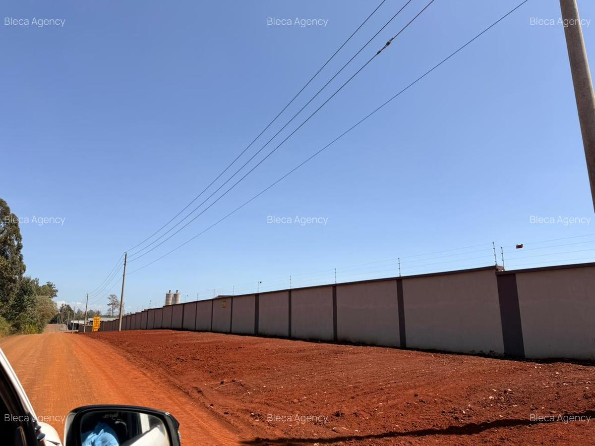 Commercial Land in Tatu City - 9