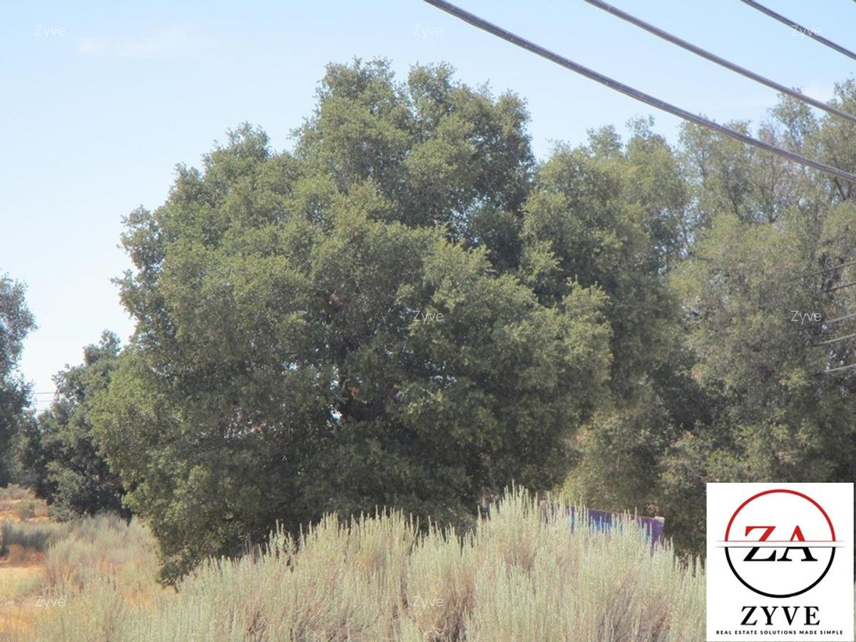 5 ac Land in Kitisuru - 2