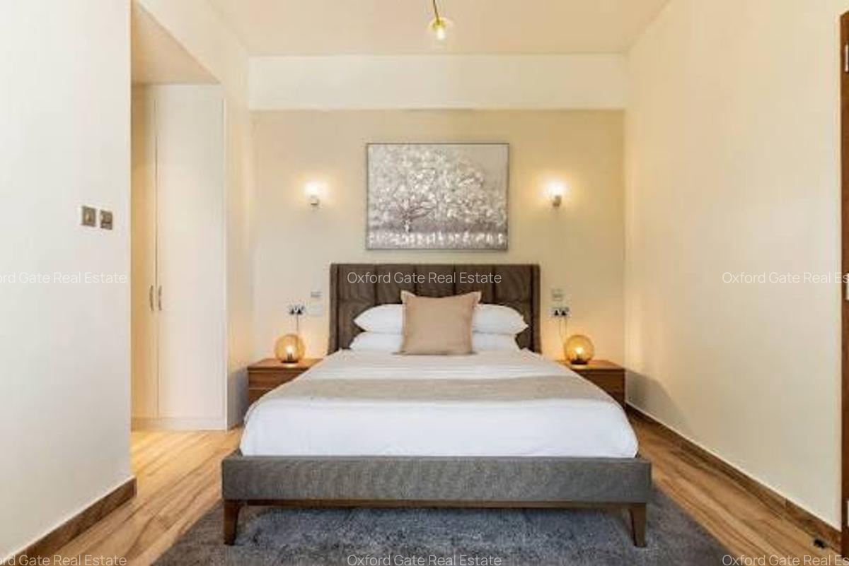 Studio Apartment with En Suite at Elgeyo Marakwet Road - 8
