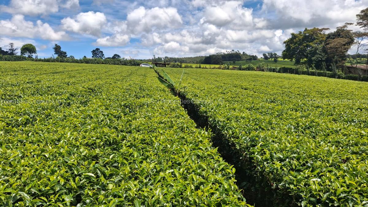 1 ac Residential Land at Limuru Girls High School - 1
