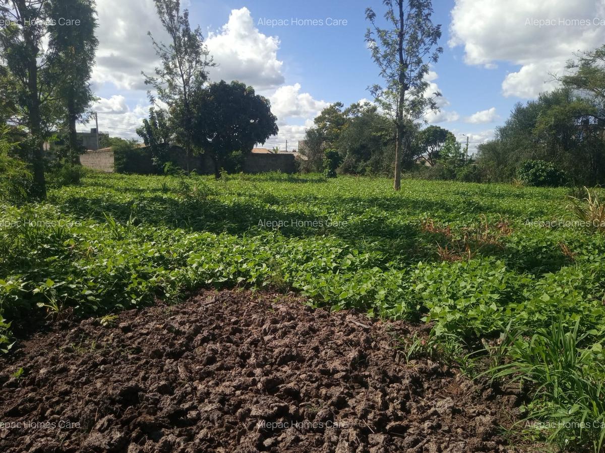 1.25 ac Land at Kamakis - 1