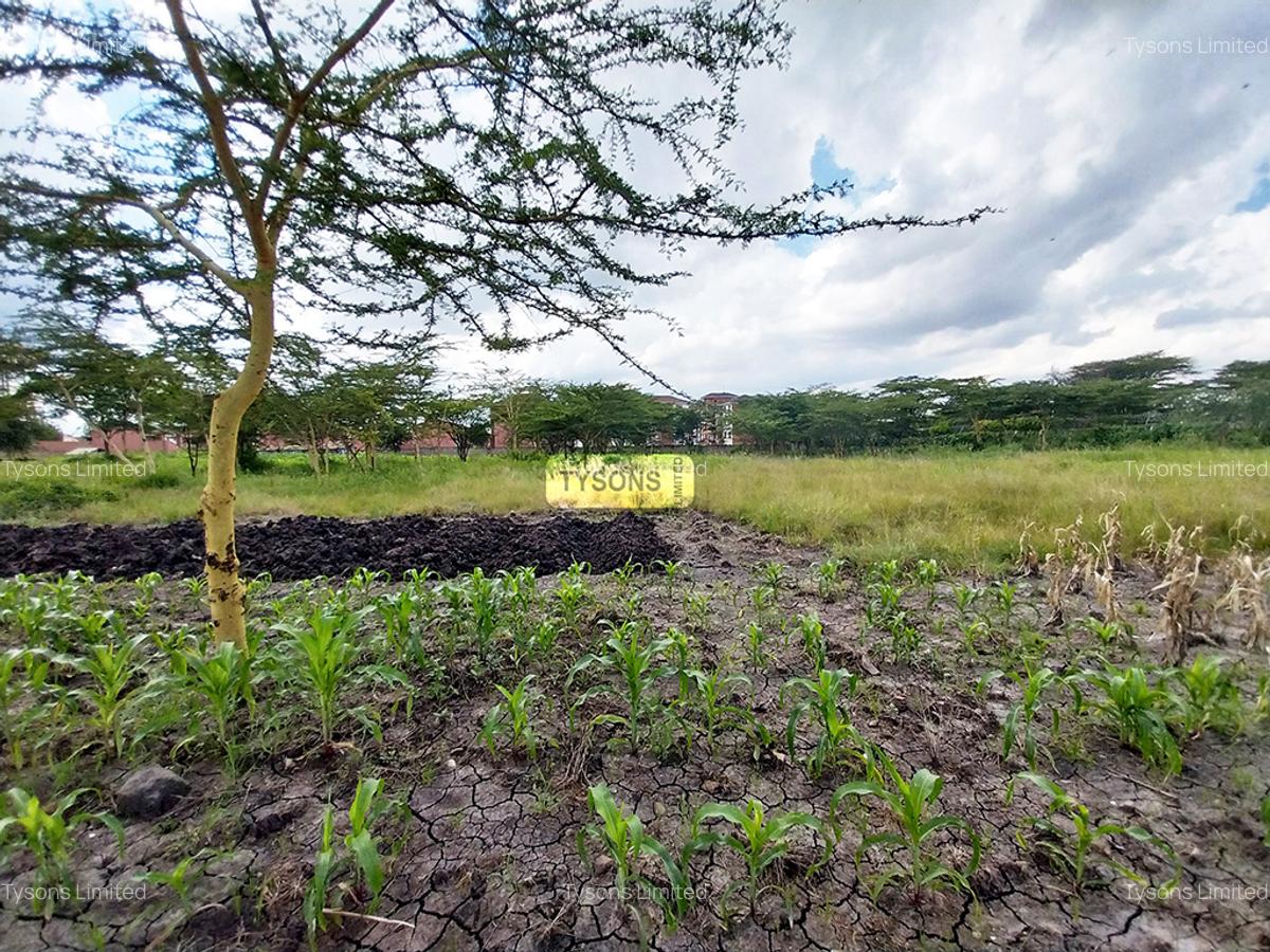 5 ac Commercial Land in South B - 4