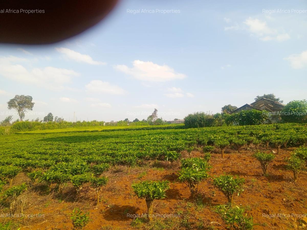 4.8 ac Land in Limuru - 3