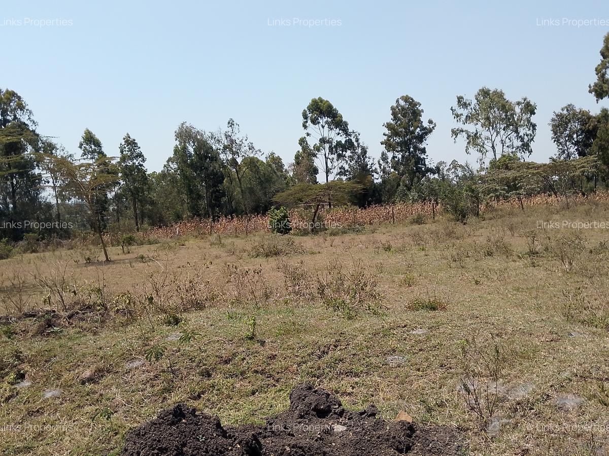 Residential Land at Merisho Road - 9