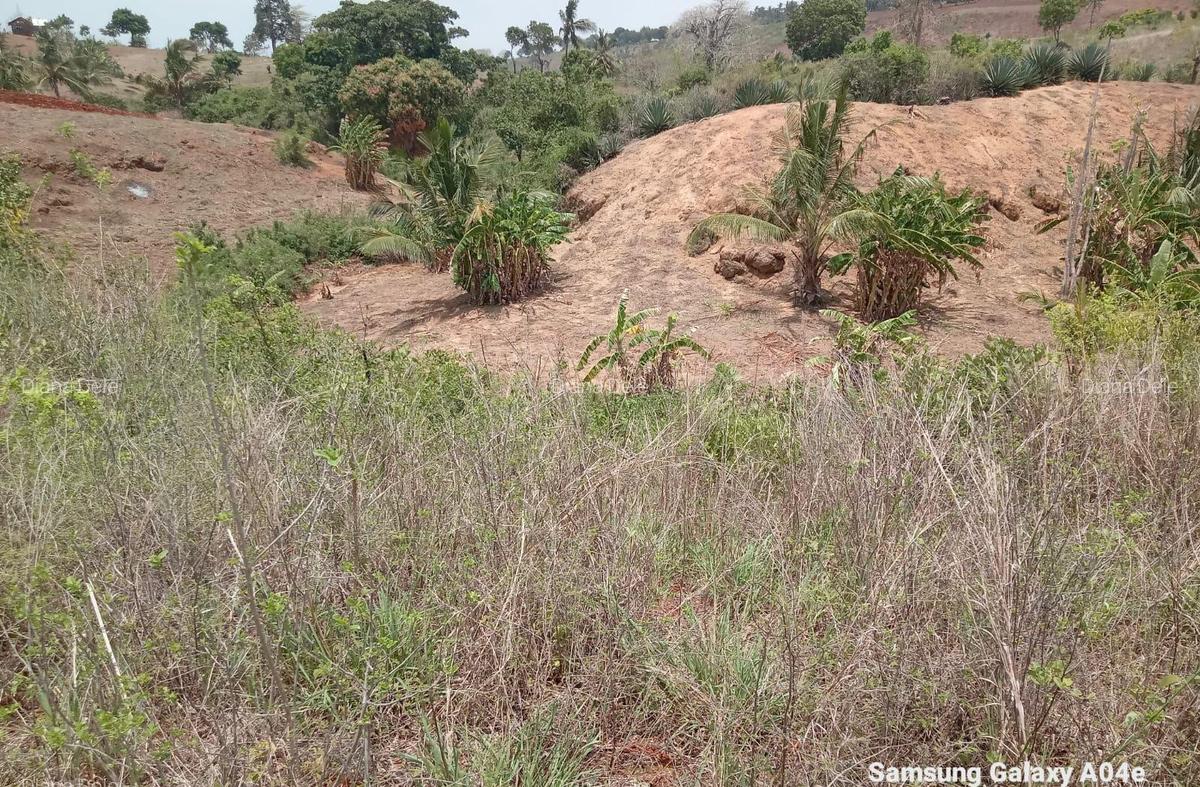 2.41 ac Land at Makonde Rd - 11
