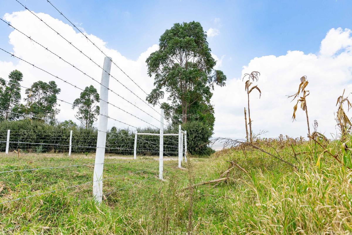 Land at Moi South Lake Road - 8