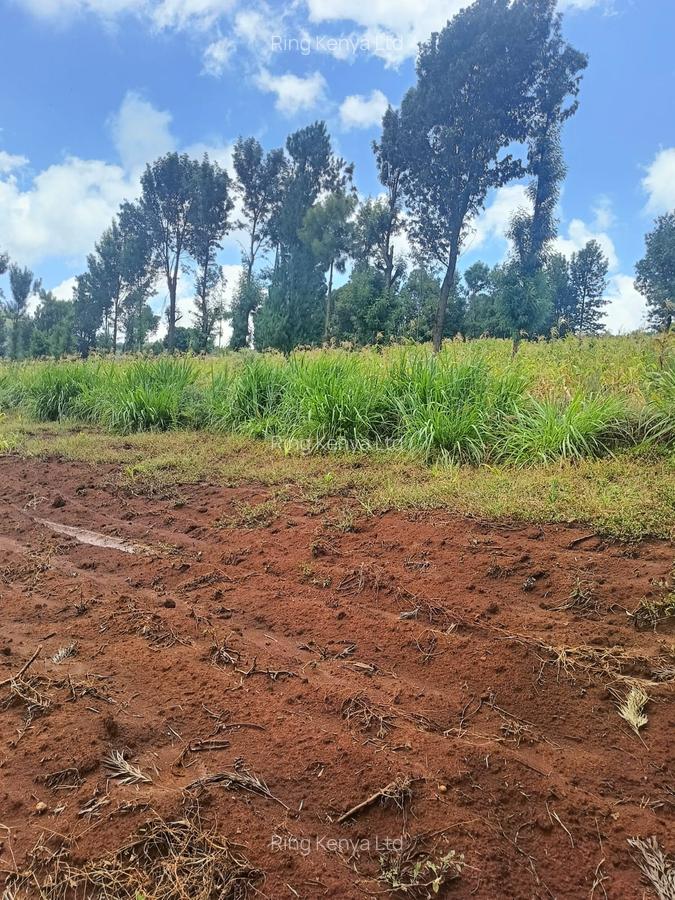 Land at Kibirichia - 5