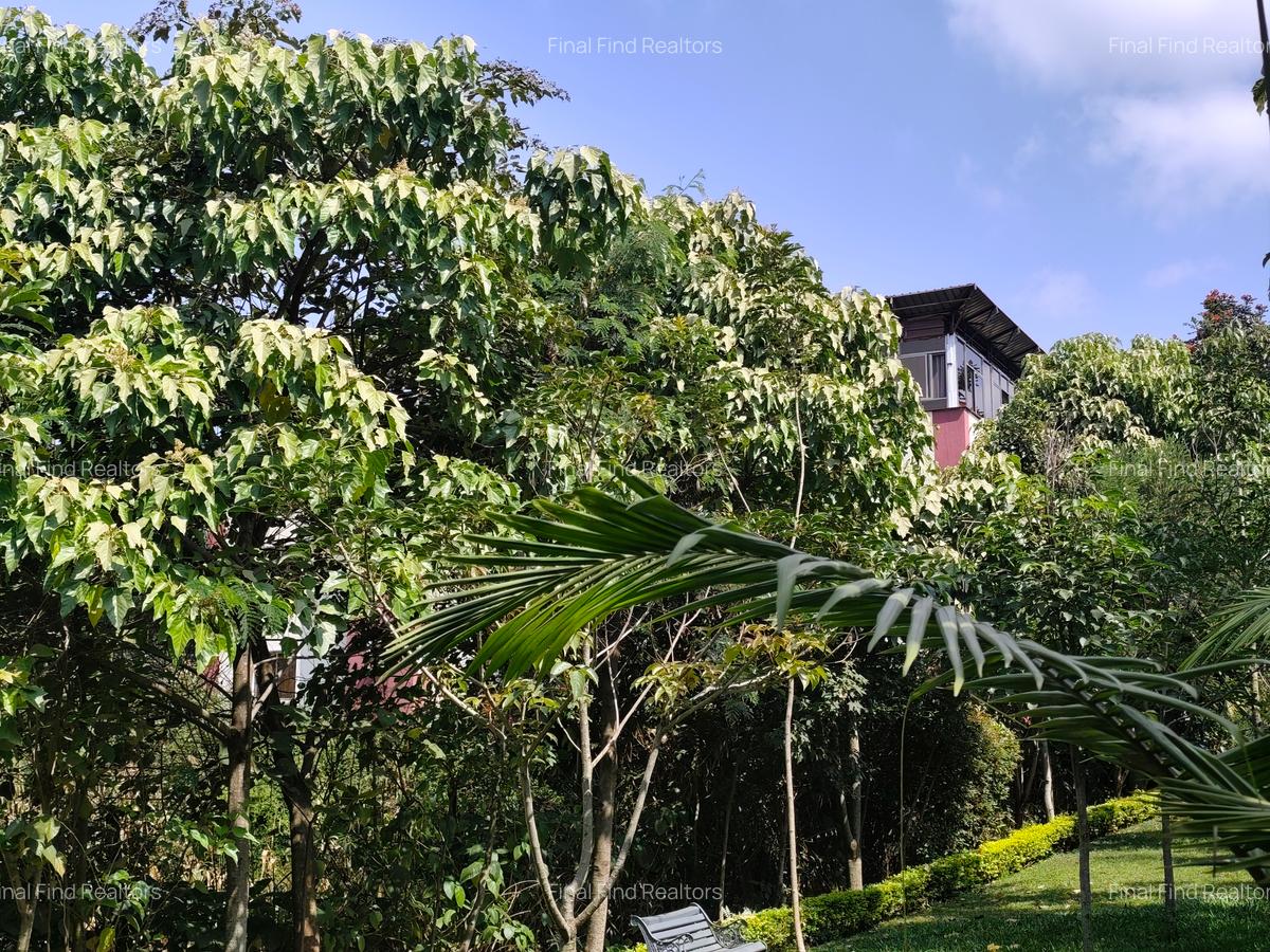 Serviced 1 Bed Apartment with Backup Generator in Nyari - 1