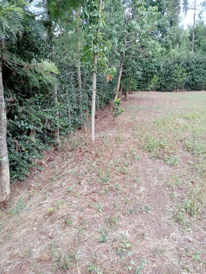 0.5 ac Land at Ololua - 6