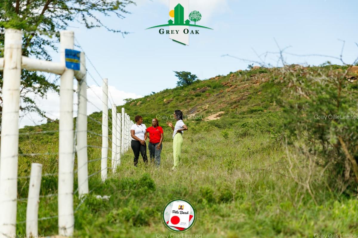 0.0410 ha Residential Land in Athi River - 2