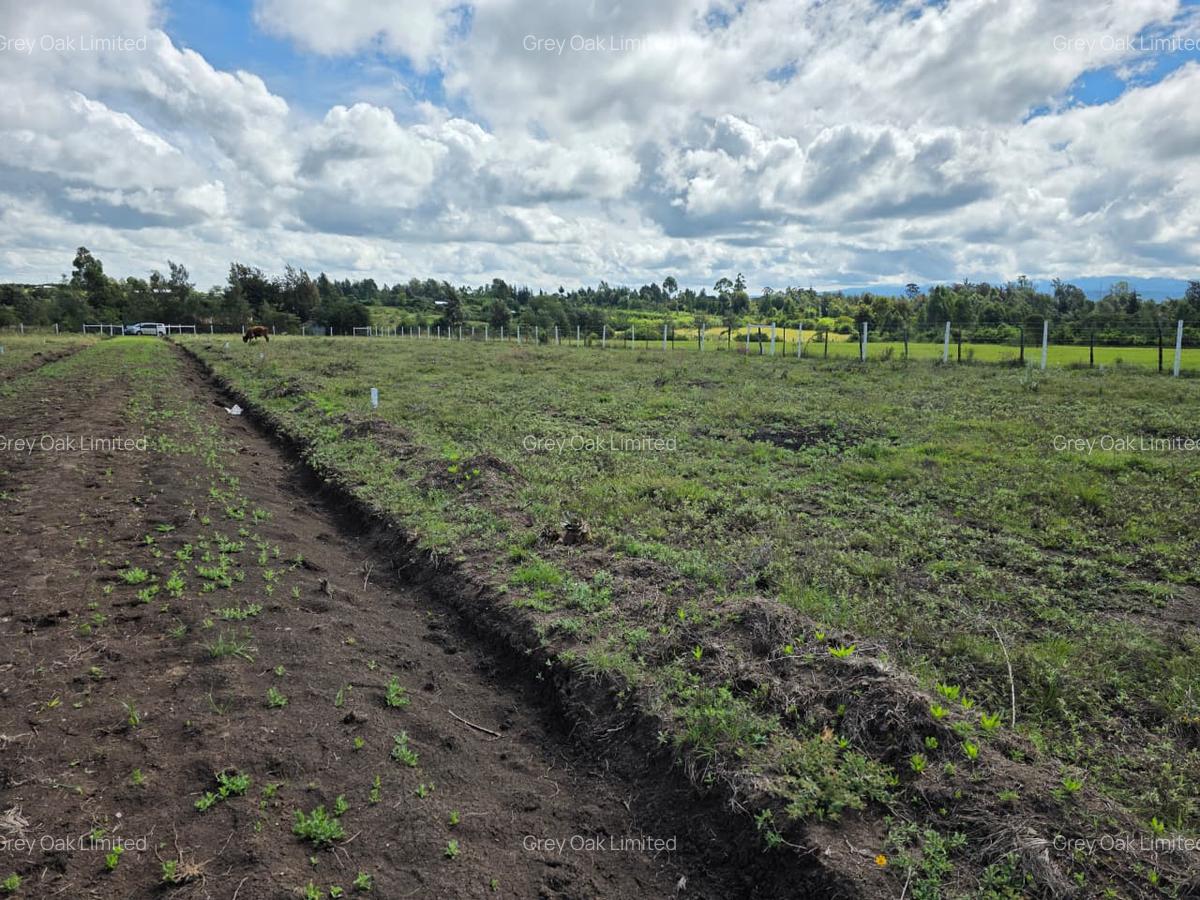 0.040 ha Residential Land in Nanyuki - 3