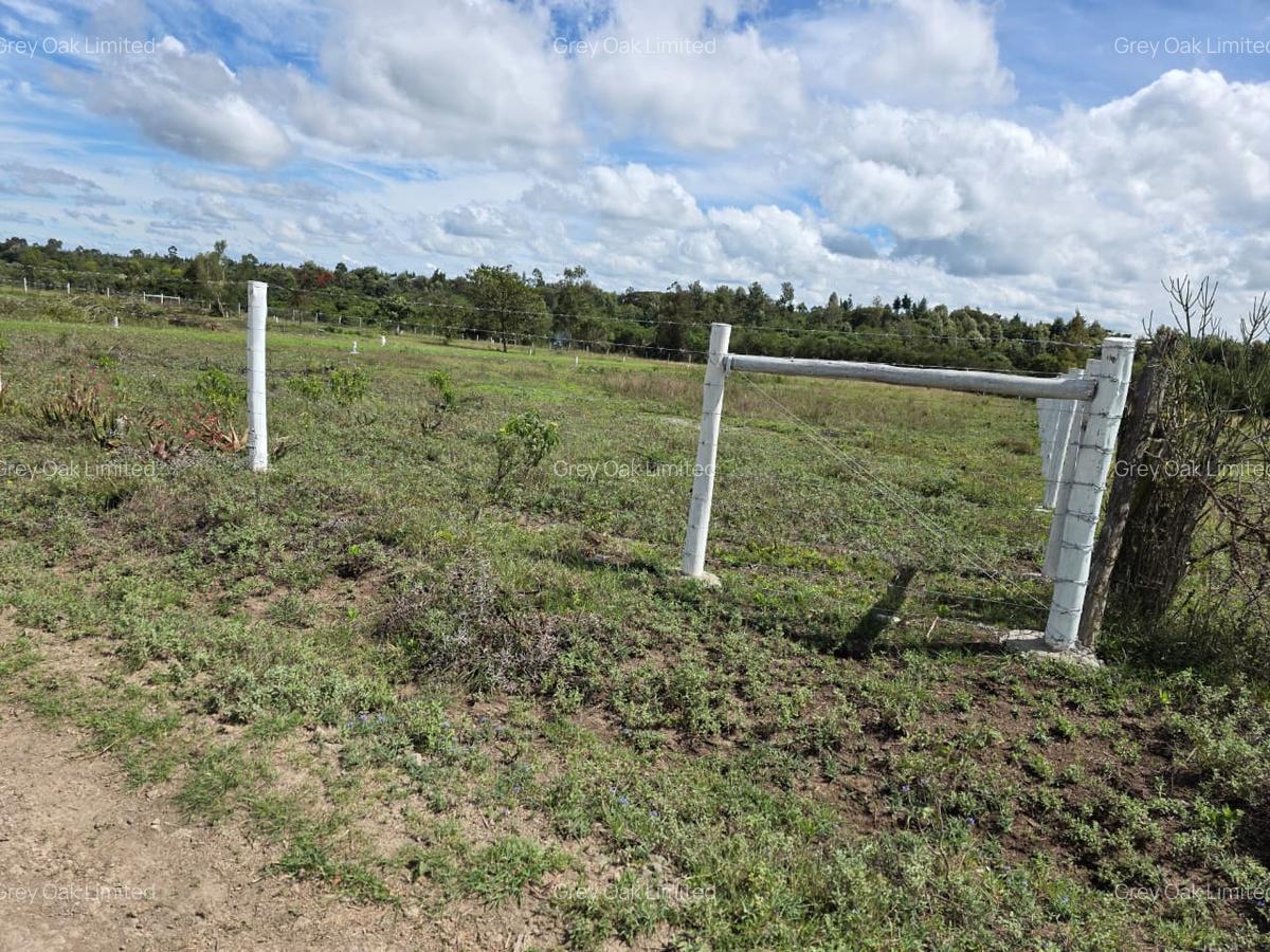 0.040 ha Residential Land in Nanyuki - 14