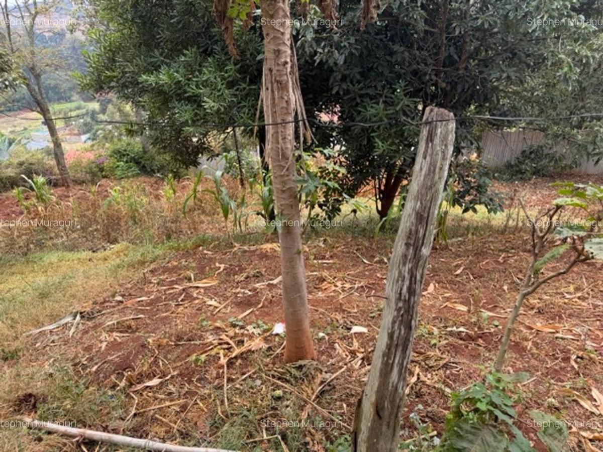 0.25 ac Land in Nyeri - 7