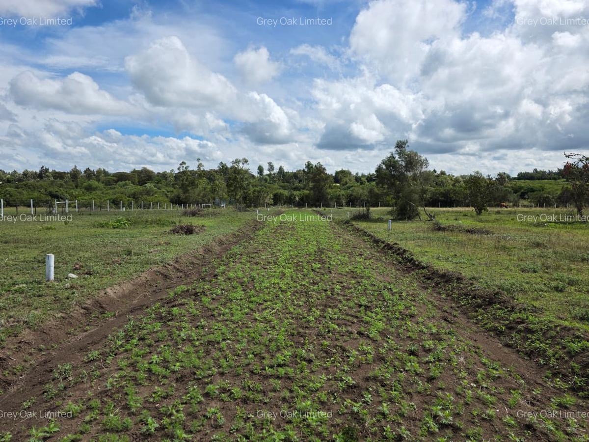 0.040 ha Residential Land in Nanyuki - 2