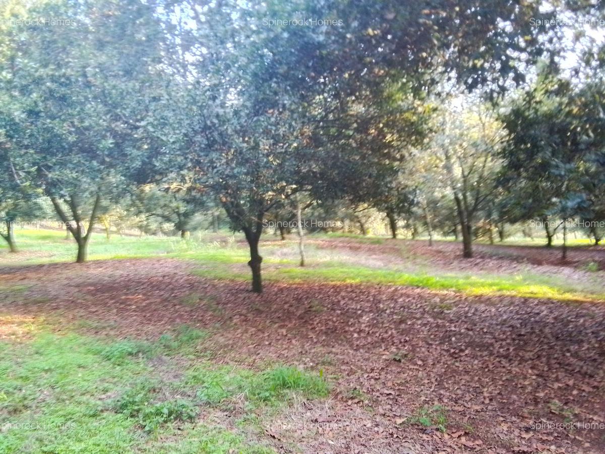 0.125 ac Residential Land at Juja Gatundu Road - 11