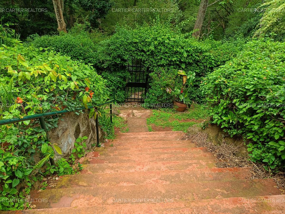 4 Bed Townhouse with Staff Quarters in Muthaiga - 3