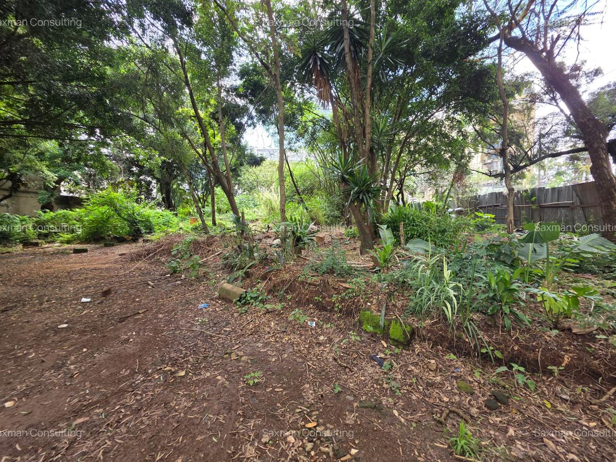 Land in Hurlingham - 13