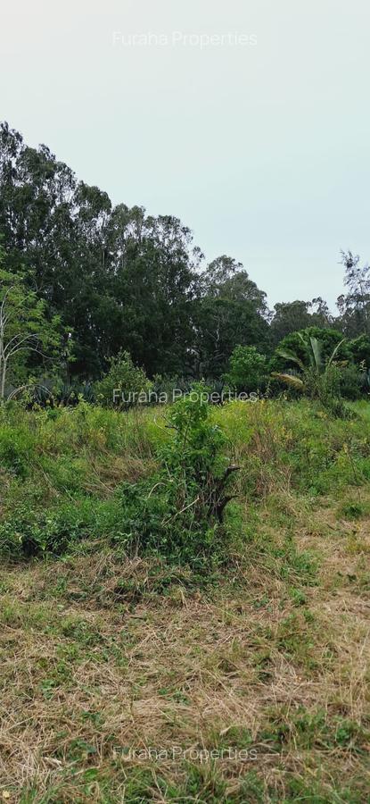 Land in Kilifi - 7