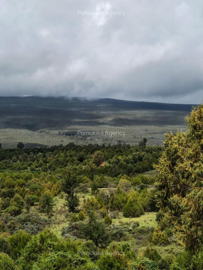 314 ac Land at Timau - 7