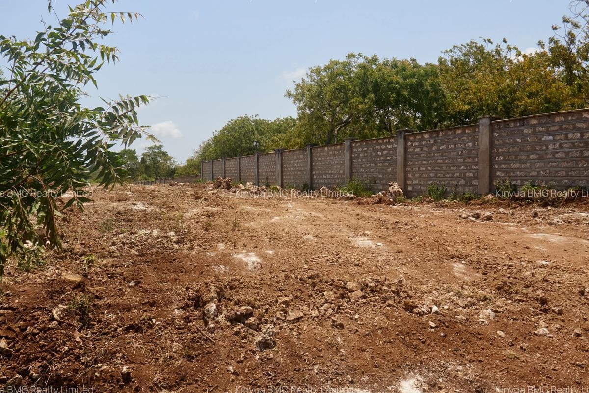 1.4 ac Land at Vipingo Beach - 2