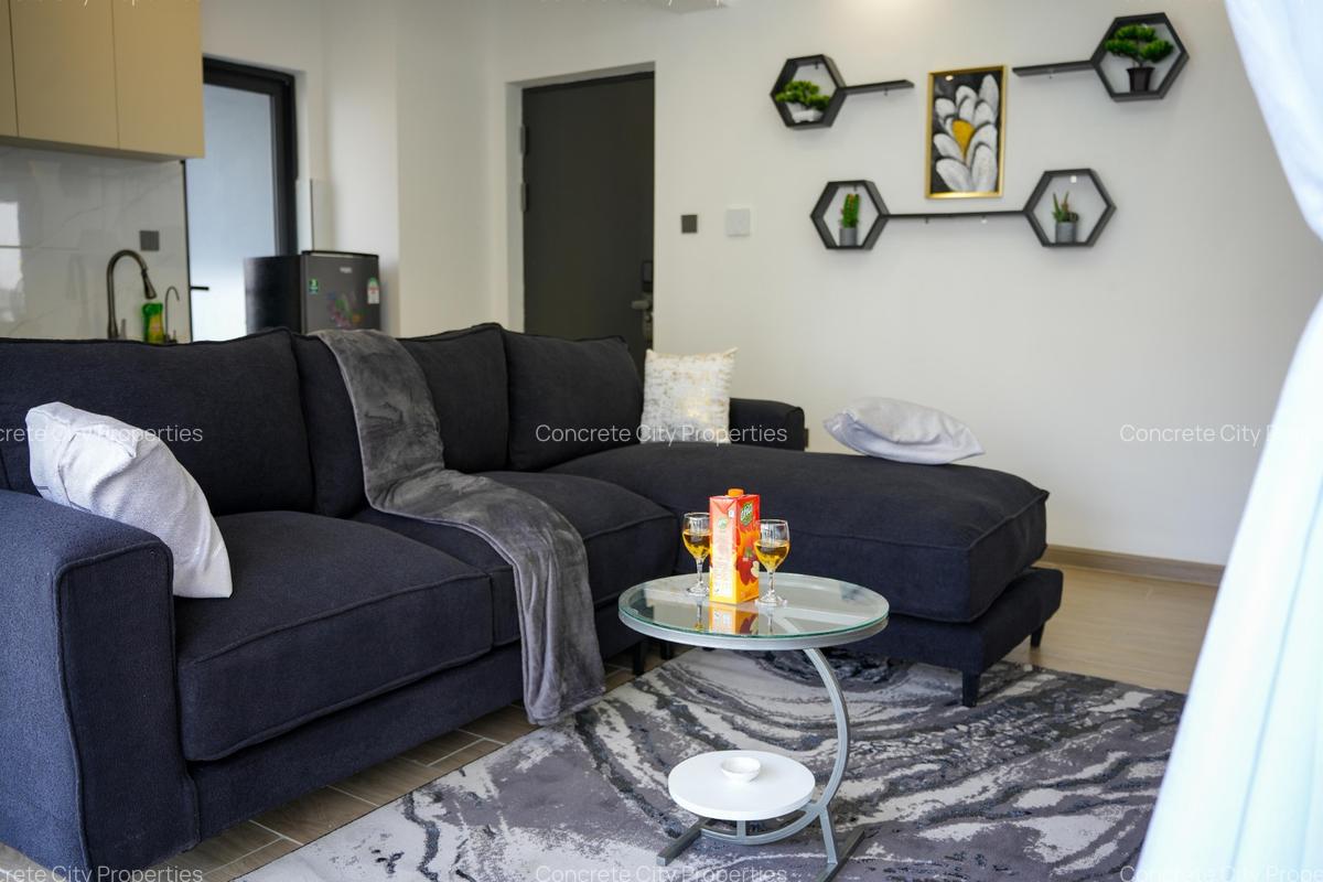 Furnished 1 Bed Apartment in Kilimani - 20