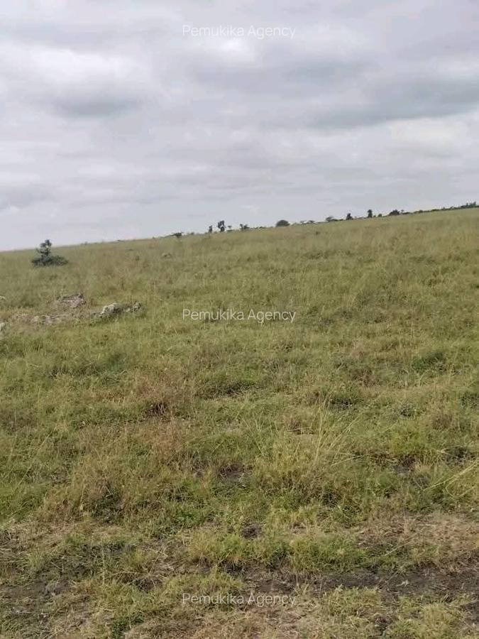 Land in Bisil - 1