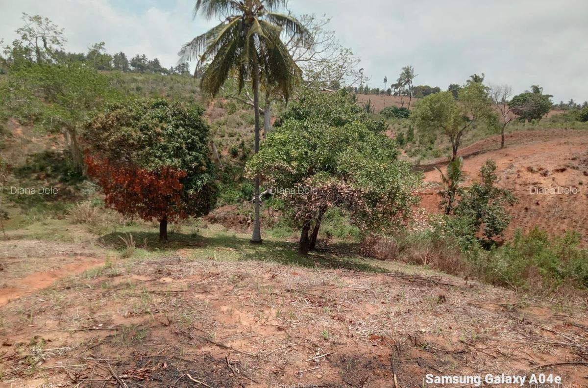 2.41 ac Land at Makonde Rd - 9